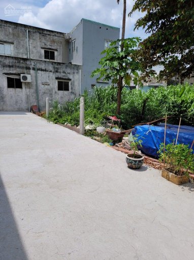 Bán gấp lô đất Phường Tam Phú, Quận Thủ Đức TPHCM giá rẻ