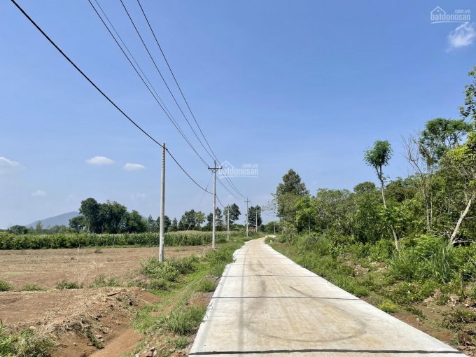 D042 - Bán đất có S: 7990m2, đẹp, bằng phẳng có 2 mặt tiền dài 160m tại Xuân Bảo, Cẩm Mỹ, Đồng Nai