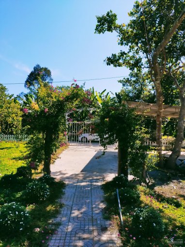 Homestay gia đình view suối đá siêu đẹp, cần bán