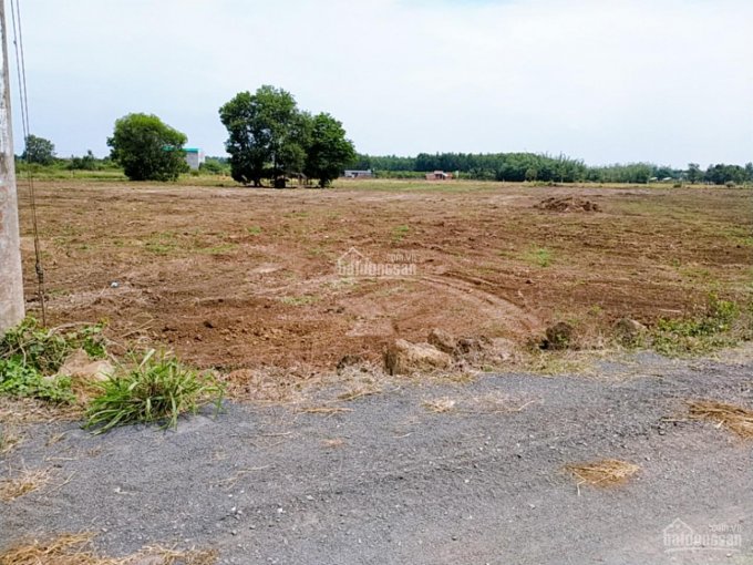 Bán đất sào xã Long Tân đất thị trấn Đất Đỏ, DT 15x85m đất gần khu công nghiệp Đất Đỏ