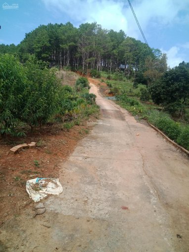 Bán lô 3.600 mét 2 đất thổ cư và trồng cây lâu năm ở xã Tà Nung, TP. Đà Lạt, giá: 7 triệu 01 mét 2