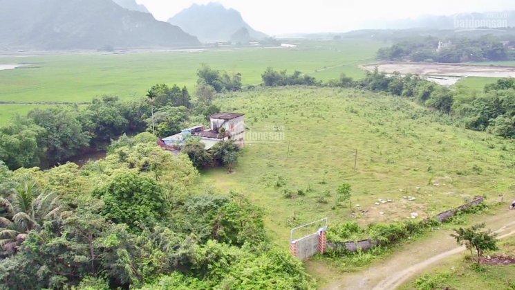 Chính chủ gửi bán lô đất 1,7 ha (tức 17000m2) làm biệt thự nhà vườn khu nghỉ dưỡng tại Lạc Thủy, HB