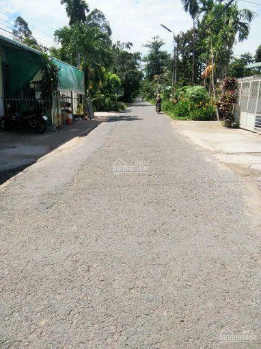 Đất 7.3x41 thổ cư hẻm đường Nguyễn Văn Trường gần chợ Miễu Ông