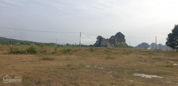 Bán đất Tân Thành Cành Chẽ, xóm Máng, xã Hoàng Tân, cạnh khu phức hợp dự án Hạ Long Xanh