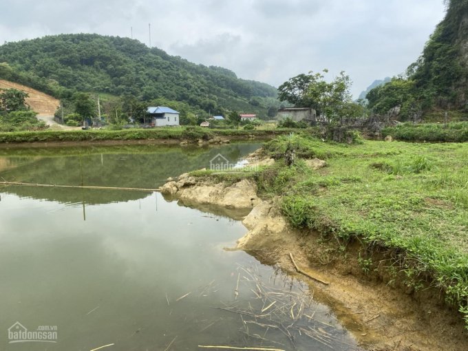 Bán nhanh 1323m2 có 400 m2 đất ở Tân Vinh, Lương Sơn, Hòa Bình view ao thoáng mát, giá rẻ