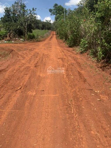 Cần bán đất vườn chôm chôm, bơ, xã Xuân Tâm, Xuân Lộc, Đồng Nai