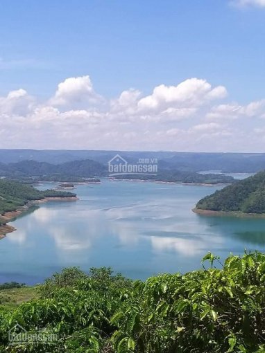 Bán đất 3ha, 6 tỷ mặt tiền đường hồ Tà Đùng Nghĩa Phú, Gia Nghĩa, Đắk Nông