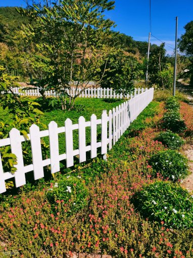 Homestay gia đình view suối đá siêu đẹp, cần bán