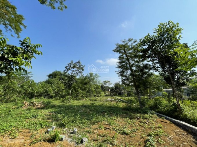 Chính chủ cần bán 4700m2 đất nghỉ dưỡng, nhà vườn cực đẹp tại Cư Yên, Lương Sơn, Hòa Bình