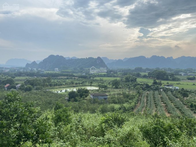Chuyển nhượng 5 ha thổ cư, đất vườn view cực đỉnh tại Huyện Lạc Thuỷ
