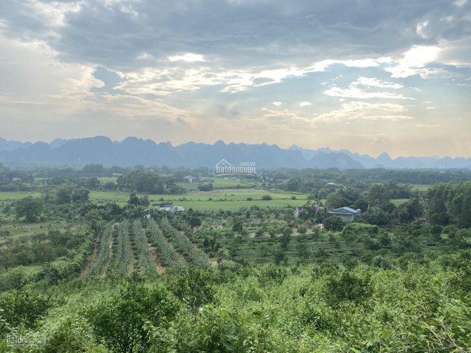 Chuyển nhượng 5 ha thổ cư, đất vườn view cực đỉnh tại Huyện Lạc Thuỷ