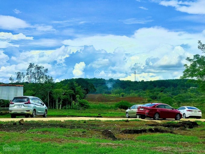 Chính chủ bán mảnh đất tuyệt đẹp view Đồi như Đà Lạt tại xã Bàu Cạn, giá 850 nghìn/m2, SHR
