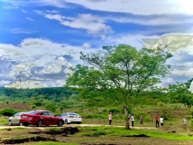 Chính chủ bán mảnh đất tuyệt đẹp view Đồi như Đà Lạt tại xã Bàu Cạn, giá 850 nghìn/m2, SHR