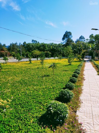 Homestay gia đình view suối đá siêu đẹp, cần bán