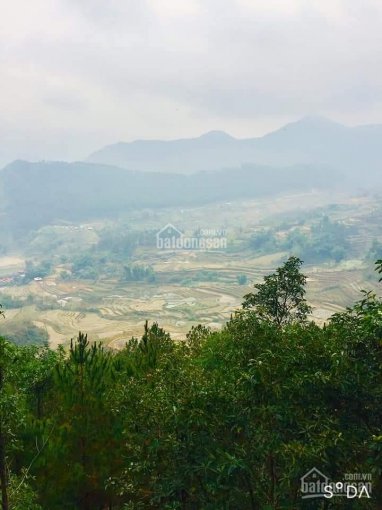 Siêu phẩm đất Di Linh, sổ sẵn thổ cư pháp lý an toàn view đẹp