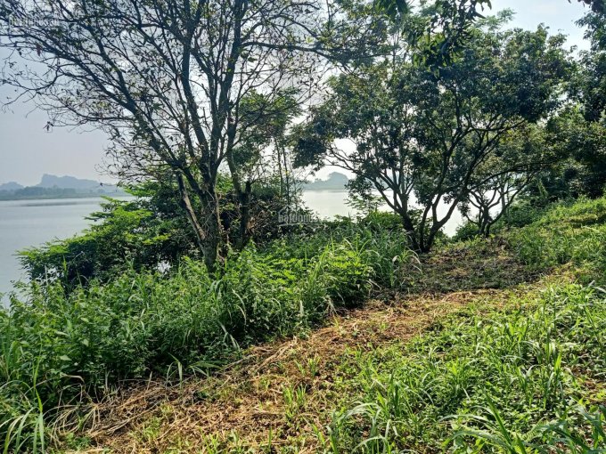 Bán nhanh lô đất mặt hồ Đồng Sương xã Trần Phú Chương Mỹ Hà Nội