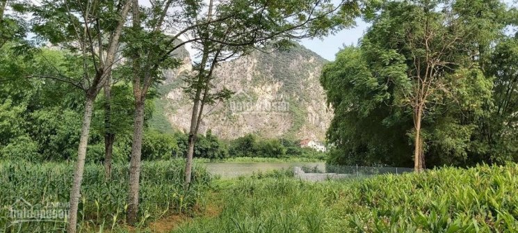 Bán đất bám hồ view núi đá cực phong thủy 1052m2 Trần Phú, Chương Mỹ, Hà Nội