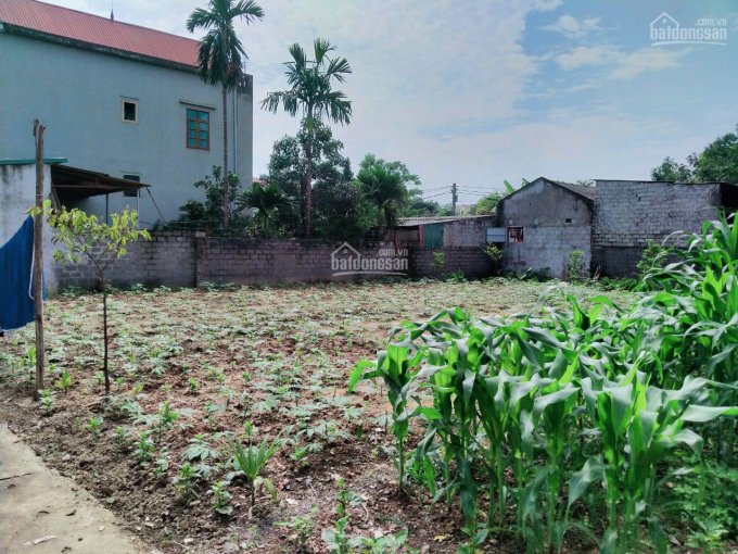 Bán đất khu TĐC Hoàng Văn Thụ - Chương Mỹ - HN