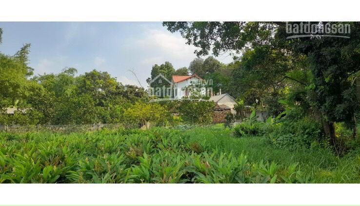 Đất bám hồ Đồng Sương - Chương Mỹ - Hà Nội