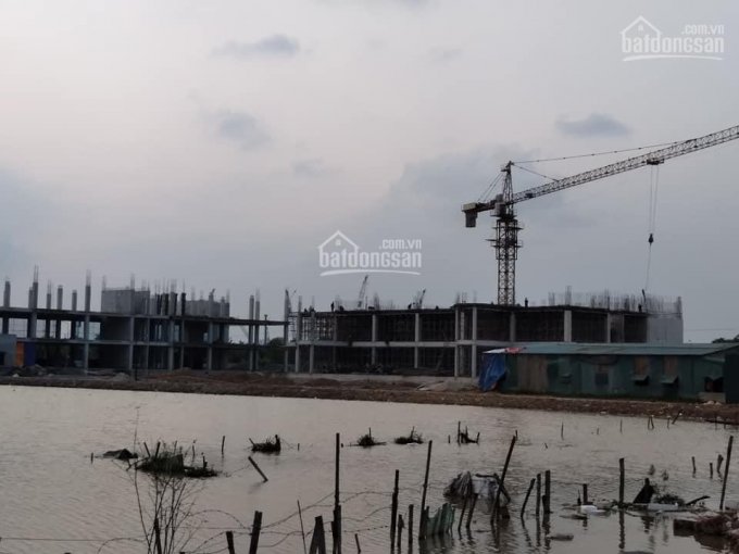 Bán đất Quang Tiến, Phường Đại Mỗ diện tích 700m2 đất mặt tiền 10m, giá 42 tỷ Nam Từ Liêm