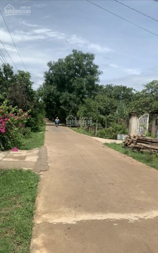 Cần bán 5000m2 đất giáp hồ phù hợp phân lô, Xuân Tâm, Xuân Lộc, Đồng Nai