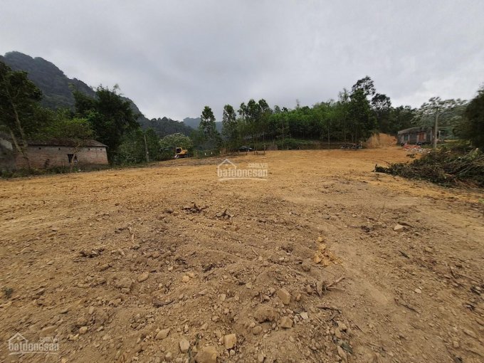 Bán siêu phẩm 4000m2 đất làm nghỉ dưỡng tuyệt đẹp tại Kim Bôi, Hòa Bình