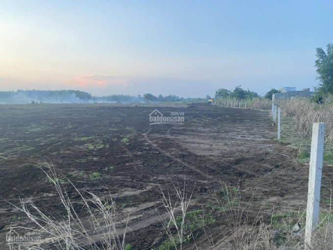 Bán lô đất sào Long Tân, cách khu công nghiệp Đất Đỏ 1.5 km 20x100m, giá 1tỷ1