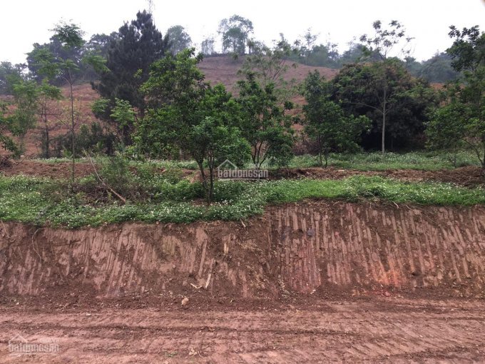 Cần bán 26000m2 (2,6ha) đất làm nhà vườn nghỉ dưỡng giá đầu tư tại Liên Sơn, Lương Sơn, Hòa Bình