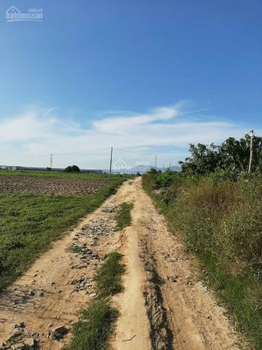 Đất 2 mặt đường, thông ra đường số 7 và Nguyễn Công Trứ, 37tr/m ngang