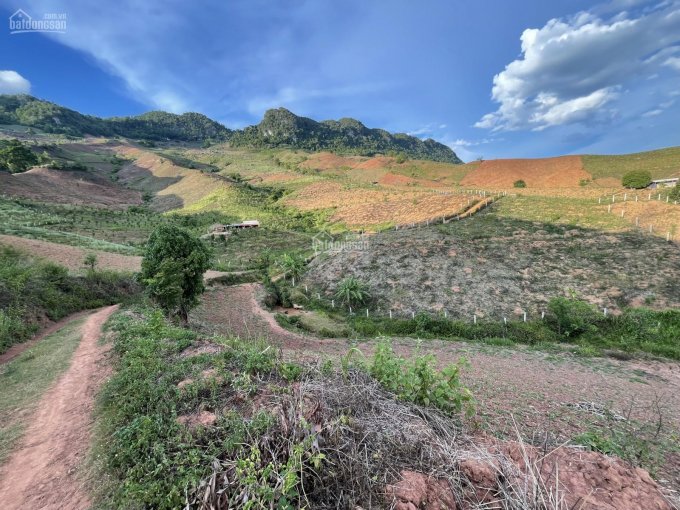 Đất Mộc Châu làm farmstay, chăn nuôi, trồng cây tất tần tần, gần Quốc Lộ 43 đường đi Lóng Sập