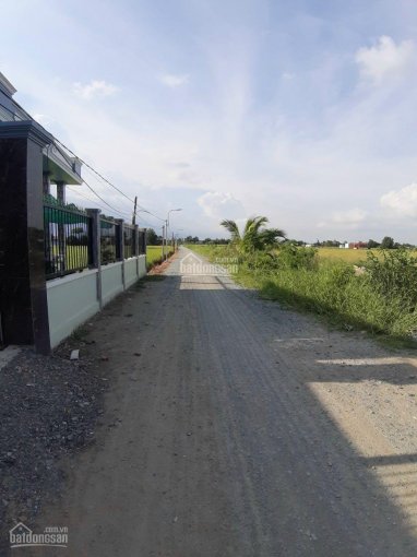 Đất 20*50m đất lúa lên thổ được, Cần Đước, Long An