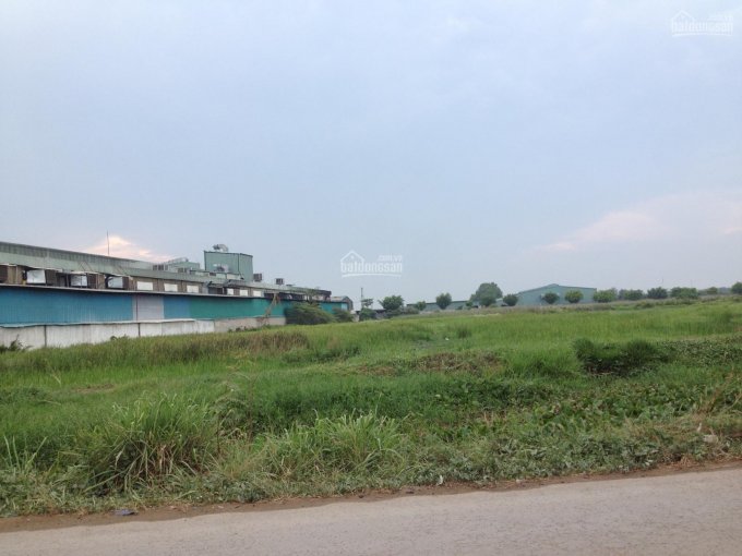Bán đất xây dựng chung cư cao tầng hoặc nhà xưởng 5.524m2, gần Phan Văn Đối, giá 106 tỷ