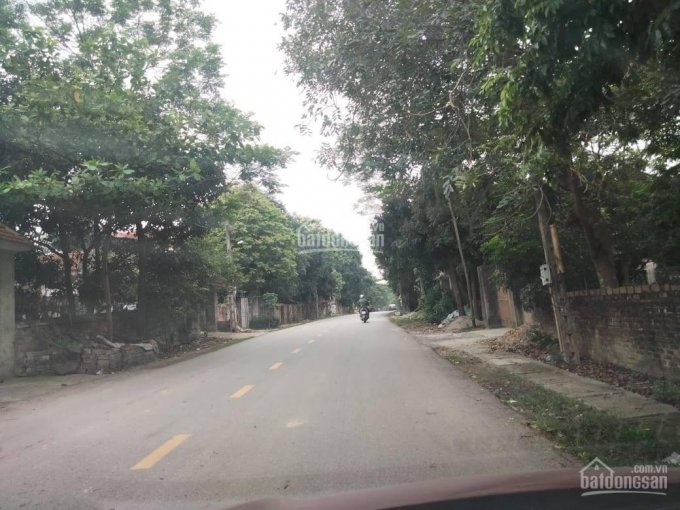 Đầu tháng bán lô đất kinh doanh mặt đường 302C. TDP Tam Quang, thị trấn Gia Khánh, Bình Xuyên
