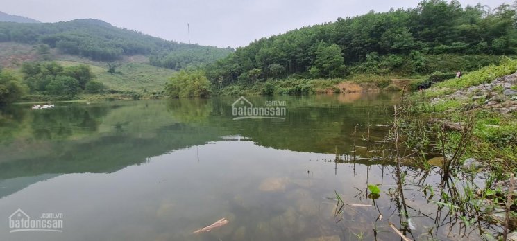 Cơ hội sở hữu đất mặt hồ, 21.700m2 có 1000m2 đất thổ cư tại Kim Bôi, Hòa Bình