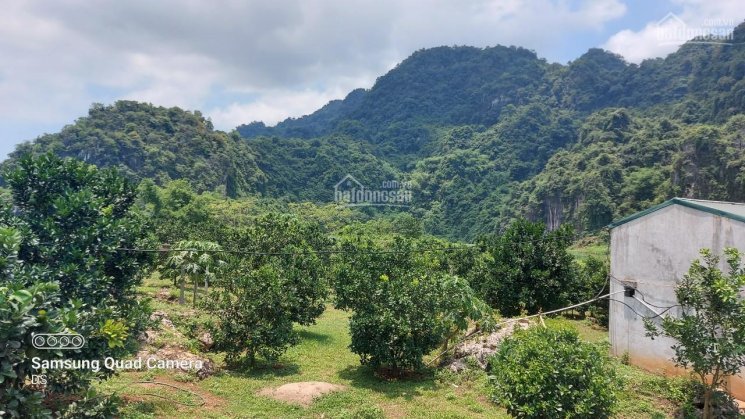 Bán đất Tân Lạc 2,3ha phẳng như sân bay