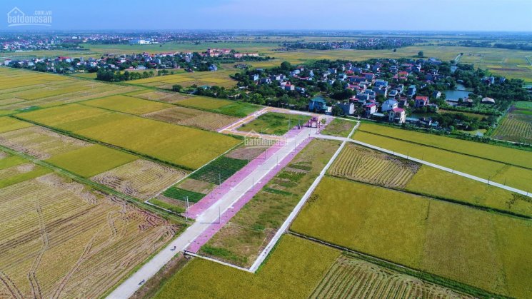 Bán nhanh lô đất trục chính KDC Trạch Xá, Tân Hồng, Bình Giang - gần đường 392 giá cực tốt