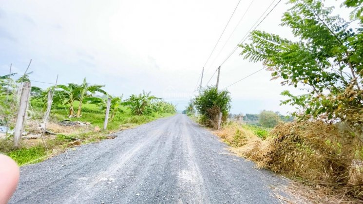 Bán đất Láng Dài, Đất Đỏ, Bà Rịa Vũng Tàu, diện tích 9,2 sào