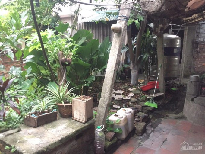 Cần bán gấp mảnh đất để trả nợ