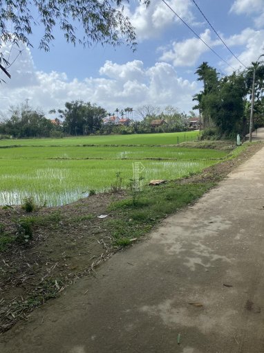Chính chủ bán đất Duy Xuyên sụp hầm, gần Hội An, đường quy hoạch 9m view cánh đồng phù hợp homestay