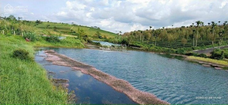 Cơ hội cuối cùng để sở hữu nền nhà phố đẹp, giá rẻ.
Giá đón đầu sang năm thanh toán