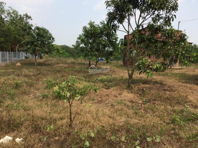 Cần bán 1.5 hecta đất trồng cây lâu năm, mặt tiền rộng 38m, đường 10m tại Xã Phú Lý