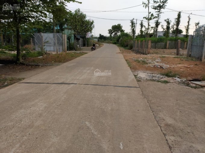 Cần bán 11300m2 đất, quy hoạch đất ở, 5 sổ hồng riêng (100 x 113m), thổ cư 100m2