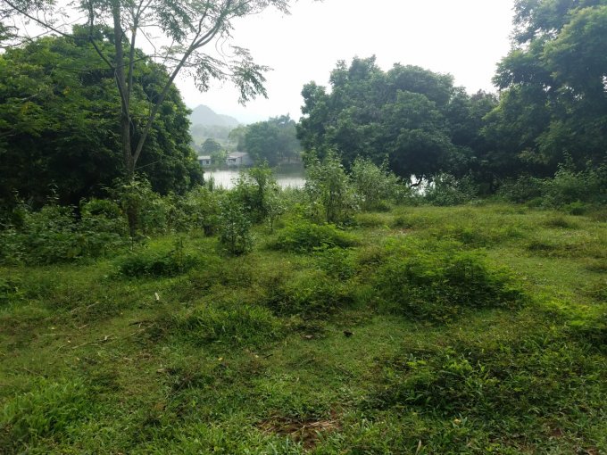 Cần bán mảnh đất 4500m2 view mặt hồ thoáng mát, tại Thành Lập, Lương Sơn, LH 0982607994