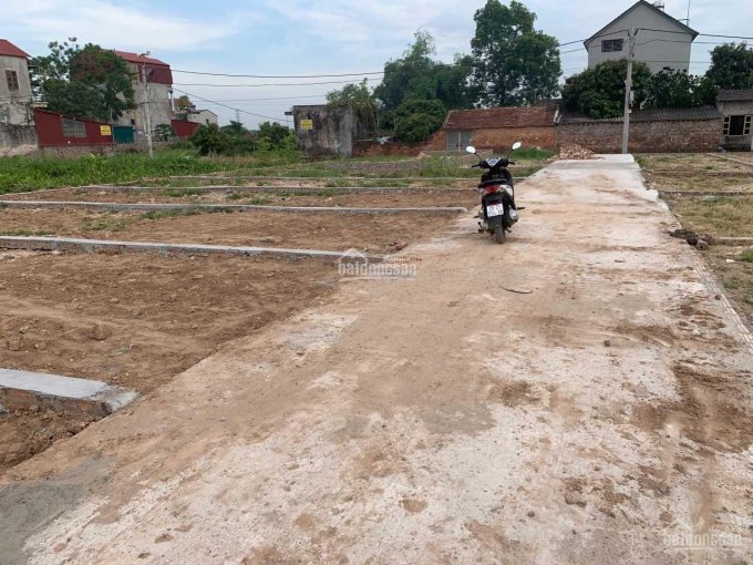 Cần bán đất tại tổ 10 TT Quang Minh, Mê Linh Hà Nội gần khu công nghiệp Quang Minh Mê Linh Hà Nội