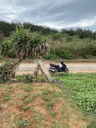 Mặt đường Trần Hưng Đạo ngay vòng xoay ngã tư khu dân cư Đảo Phú Quý