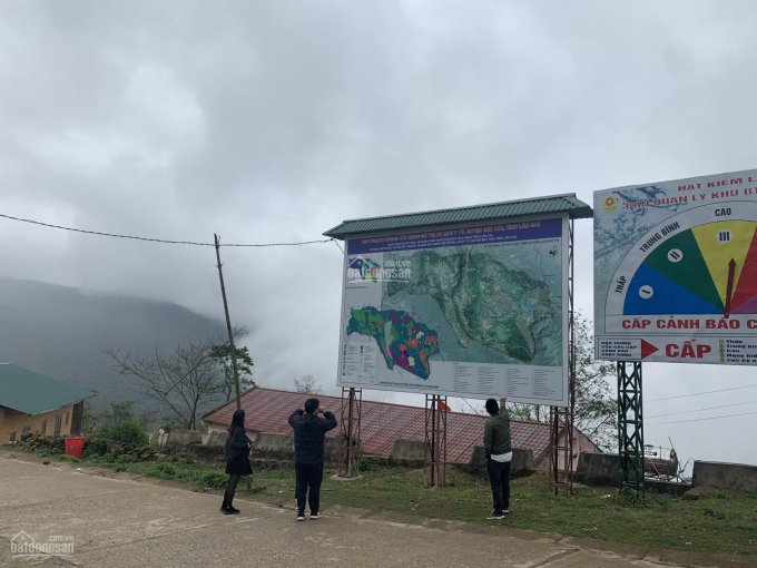 Đất Ngải Thầu, view ruộng bậc thang đẹp nhất Y Tý