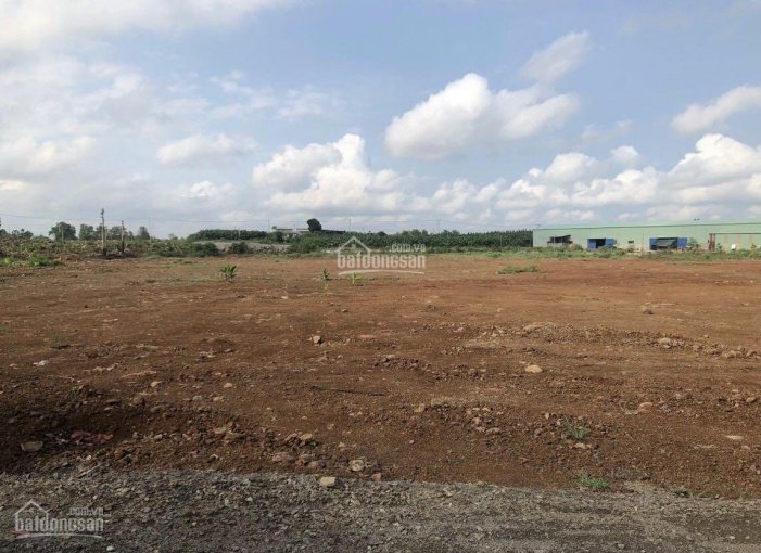 Bán đất xã Sông Trầu, Trảng Bom, Đồng Nai, DT 12000m2