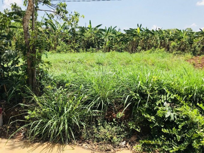 Lô duy nhất đường nhánh Nam Kỳ Khởi Nghĩa, TT Đất Đỏ