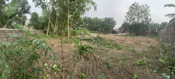 Cần bán gấp ô đất khá vuông vắn tại Thôn Thọ Sơn, Xã Yên Thọ, Mạo Khê, Thị Xã Đông Triều