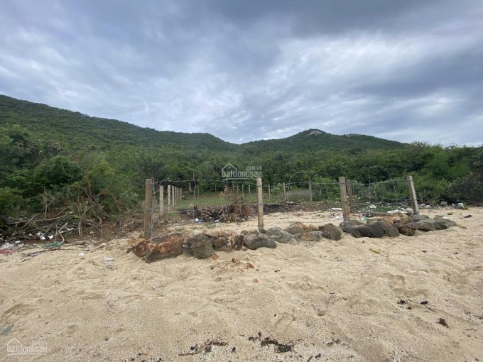 Bán lô đất đẹp mặt biển Đảo Điệp Sơn, Hòn Bịp